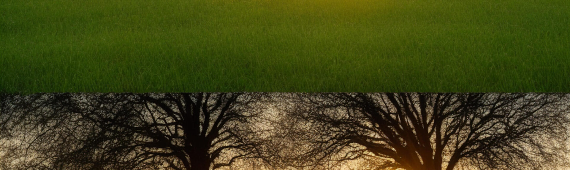 EcologyMotor EcologyMotor